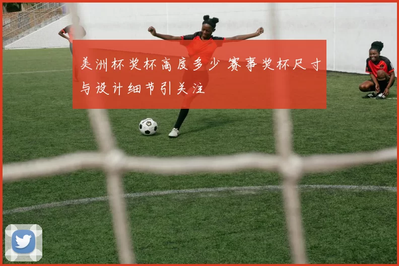 美洲杯奖杯高度多少 赛事奖杯尺寸与设计细节引关注
