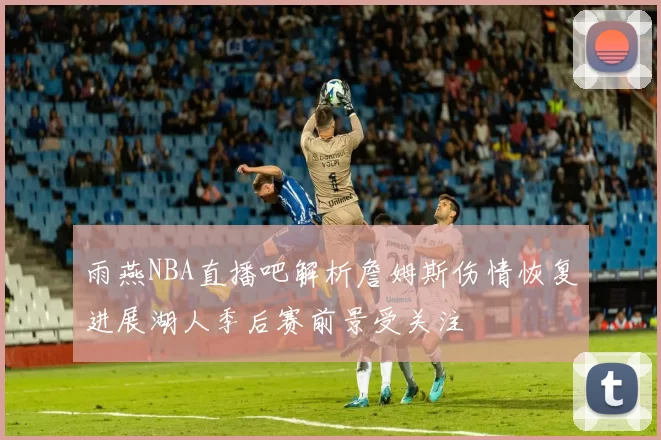 雨燕NBA直播吧解析詹姆斯伤情恢复进展湖人季后赛前景受关注