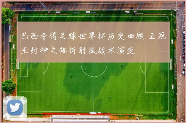 巴西夺得足球世界杯历史回顾 五冠王封神之路折射技战术演变